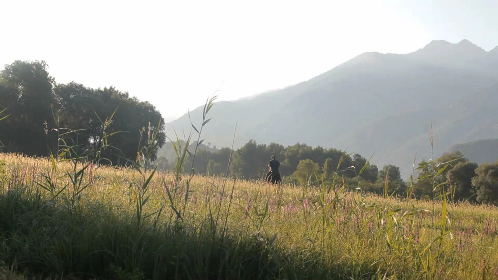 Апарт-отель Апарт отель Cascina Borgofrancone Джера-Ларио