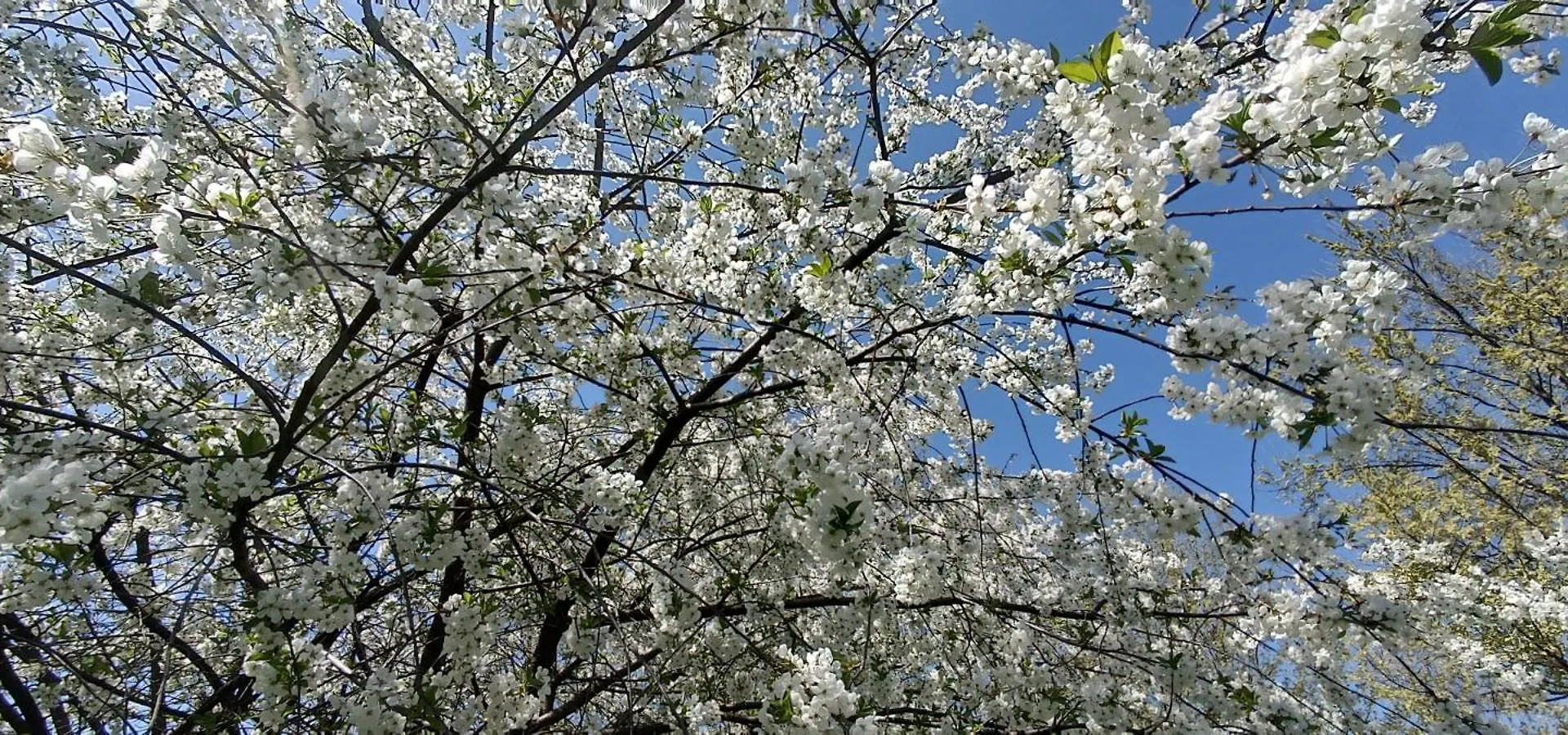 Cascina Borgofrancone Aparthotel Gera Lario